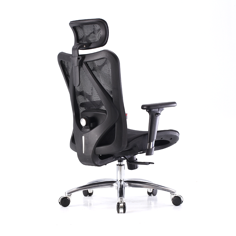 Sihoo Ergonomic Office Chair High Back Desk Chair Adjustable Headrest