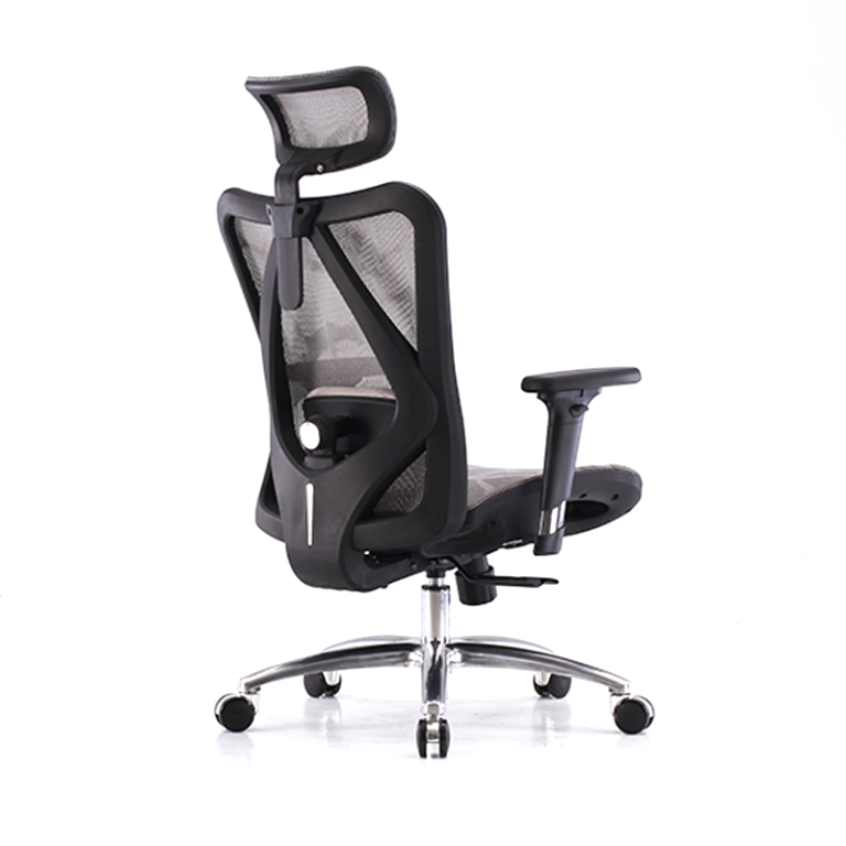 Sihoo M57 Ergonomic Chair Options Dot PH